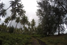 DCIM100GOPROGOPR0383.
