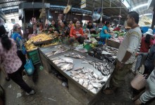 DCIM100GOPROGOPR0398.