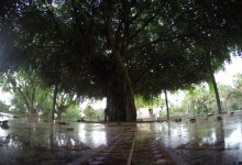 DCIM100GOPROGOPR0871.