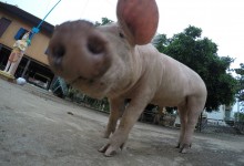 DCIM100GOPROGOPR0885.