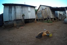 DCIM100GOPROGOPR1013.