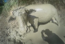 DCIM100GOPROGOPR1161.