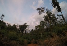 DCIM100GOPROGOPR1232.