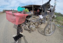 DCIM100GOPROGOPR1301.