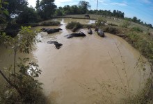 DCIM100GOPROGOPR1361.