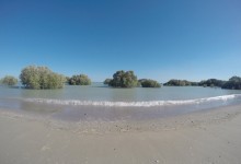 DCIM100GOPROGOPR2208.