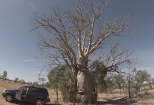 DCIM100GOPROGOPR2347.