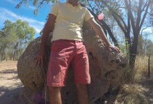 DCIM100GOPROGOPR2361.
