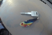DCIM100GOPROGOPR2397.