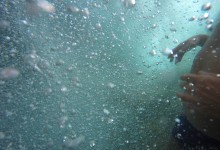 DCIM100GOPROGOPR2770.