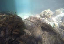 DCIM100GOPROGOPR2777.