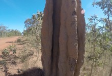 DCIM100GOPROGOPR2825.