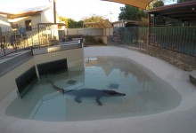 DCIM100GOPROGOPR2978.