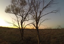 DCIM100GOPROGOPR3053.