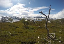 DCIM100GOPROGOPR3175.