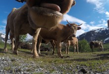 DCIM100GOPROGOPR3338.
