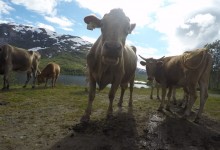 DCIM100GOPROGOPR3357.